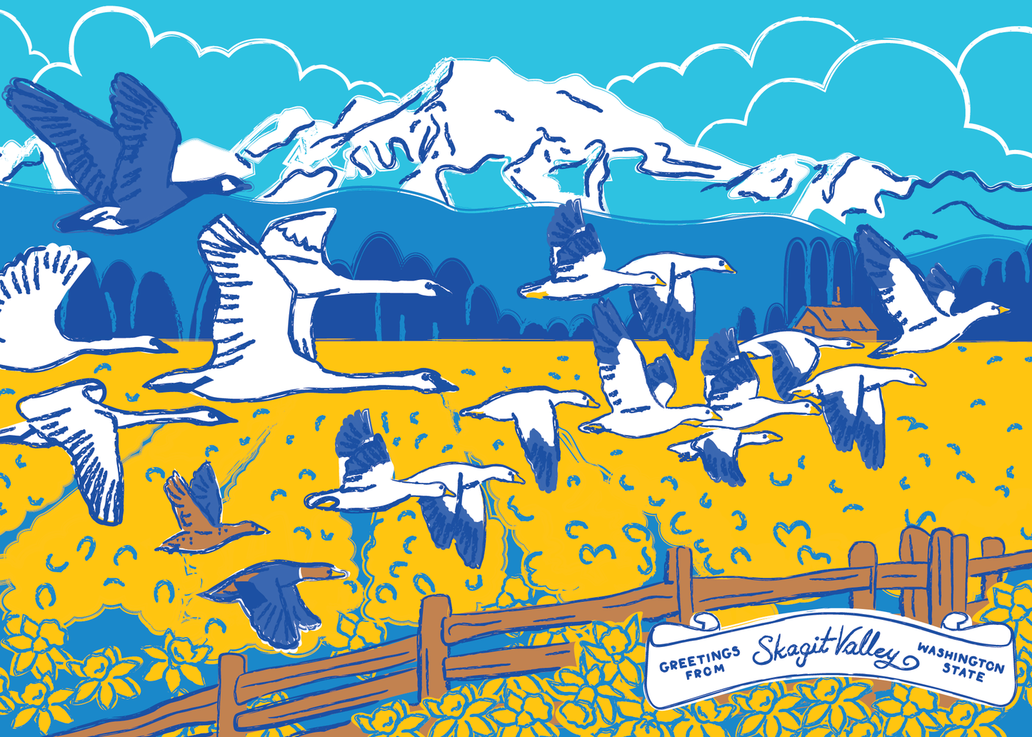 Birds of Skagit Valley